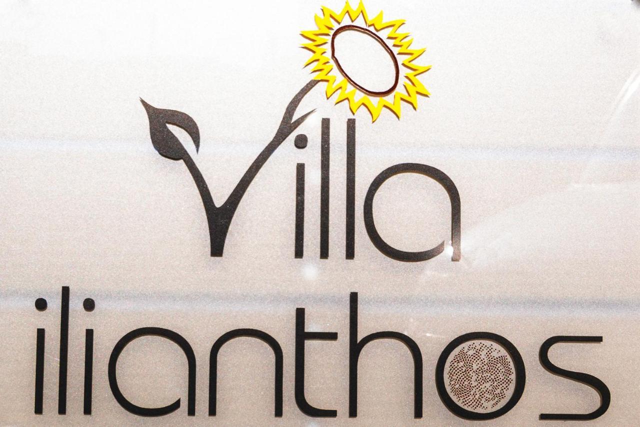Villa Ilianthos Πάνορμος Εξωτερικό φωτογραφία